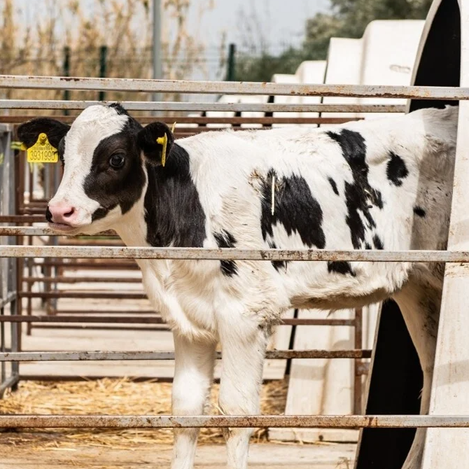Leven in de industrie afbeelding 2