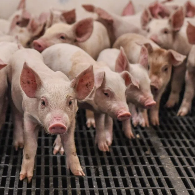 Leven in de industrie afbeelding 5